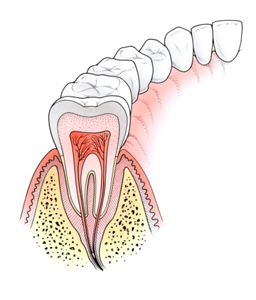 mouth